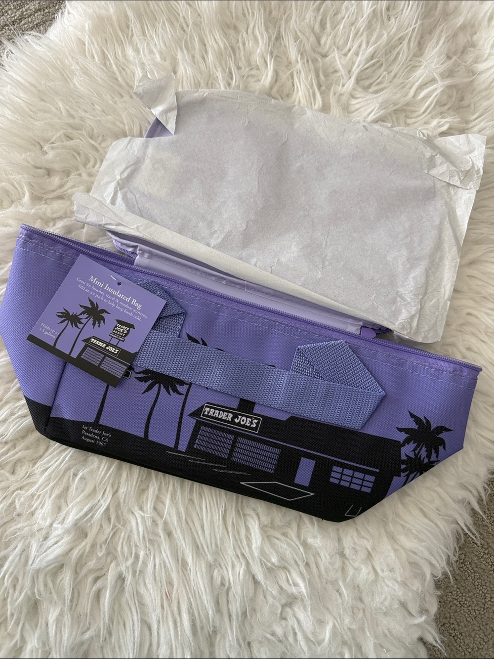 Trader Joe's Purple Mini Insulated lunch bag